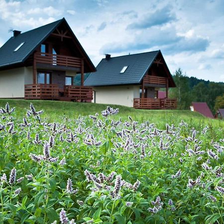 Bieszczadzki Raj Komfortowe Domy Nad Jeziorem Solinskim Sauna Olchowiec Exterior photo