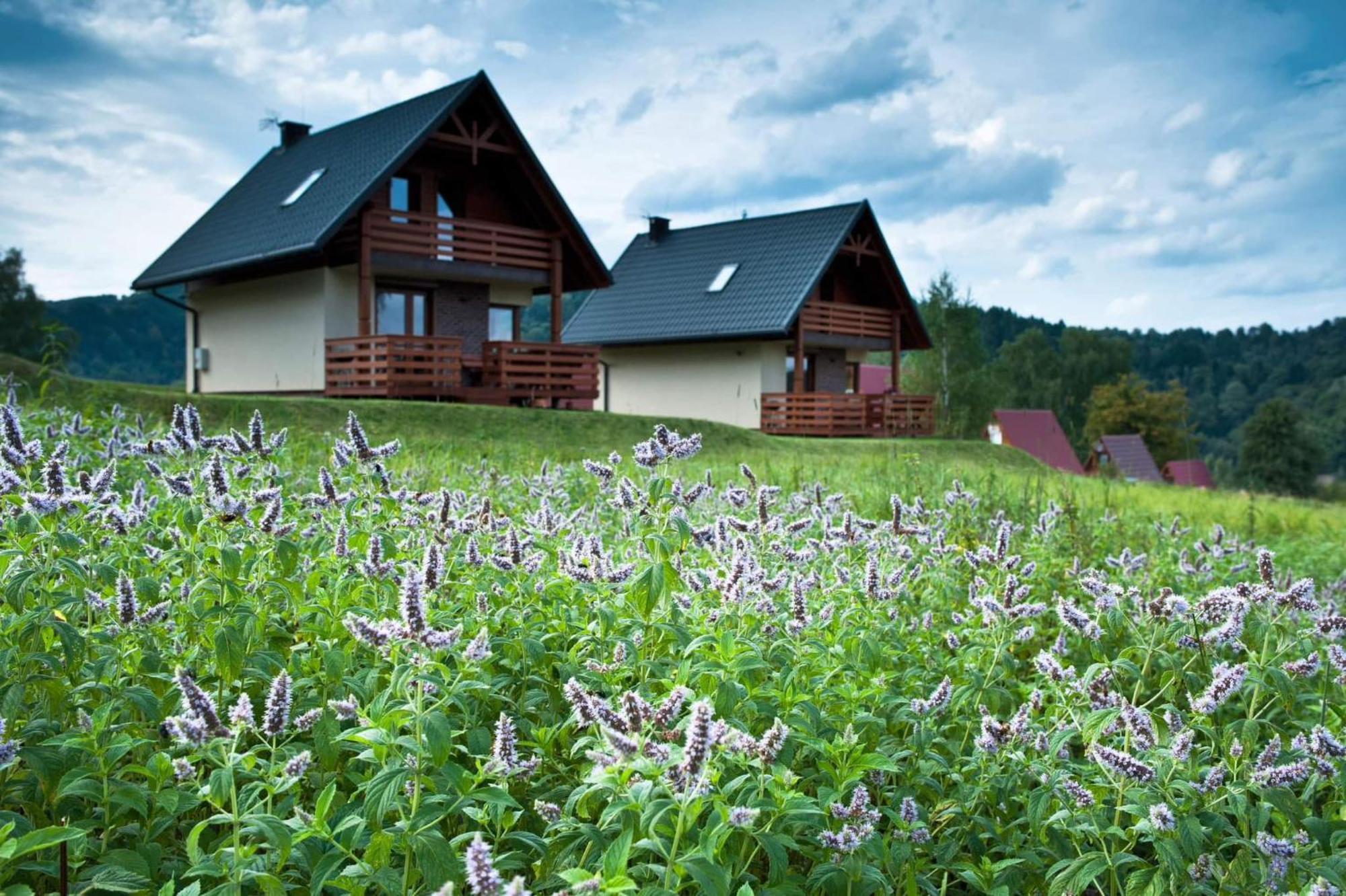 Bieszczadzki Raj Komfortowe Domy Nad Jeziorem Solinskim Sauna Olchowiec Exterior photo